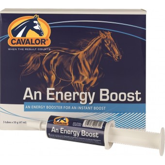 Cavalor An Energy Boost 5 tubes